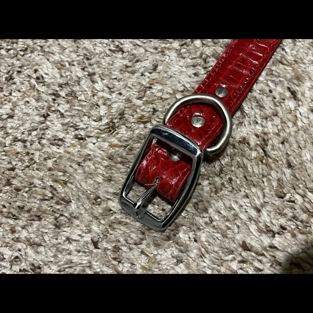 Red leather dog collar